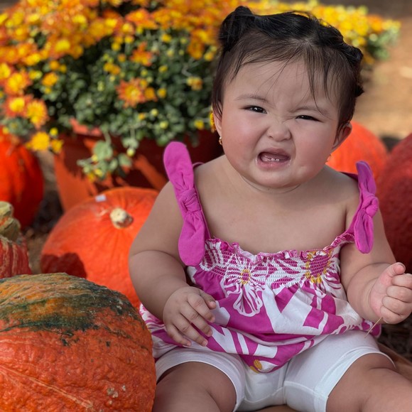 Meet your Posher, Victoria - Picture 1 of 1